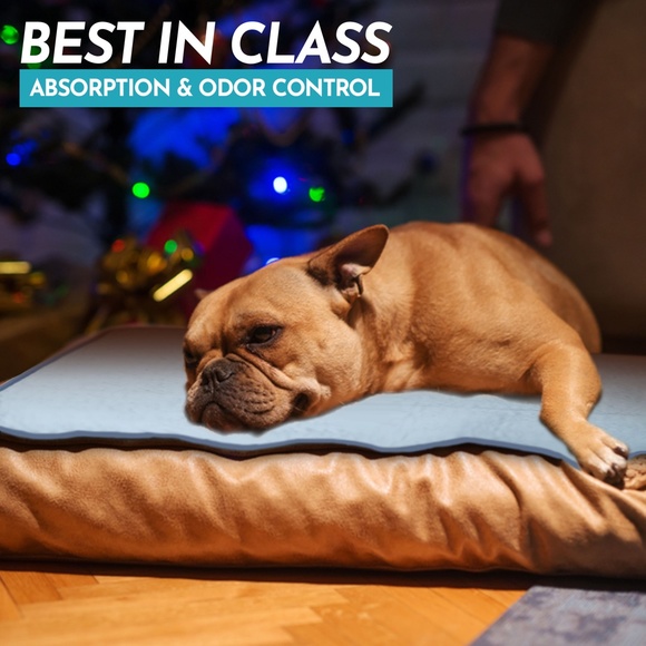 Pet Washable Pee Pads Puppies Dogs  All Life Stagges - Picture 5 of 5